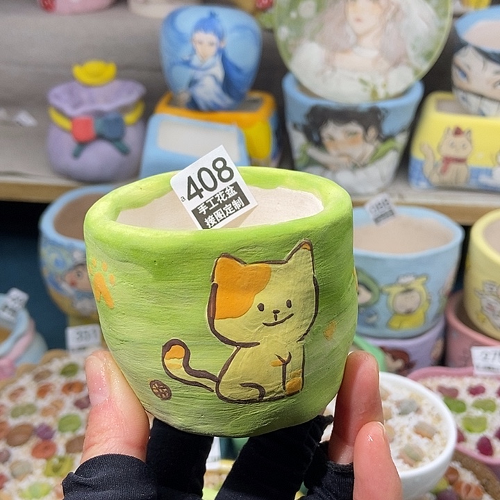 大舅生石花肉锥多肉408