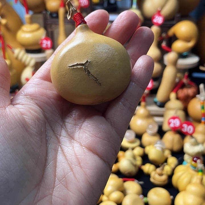 K***X葫芦丝老师恩典人恩情都