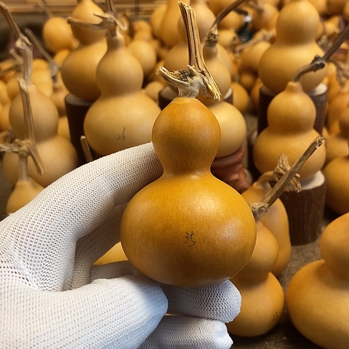 文玩葫芦 完美主义者 慎拍35