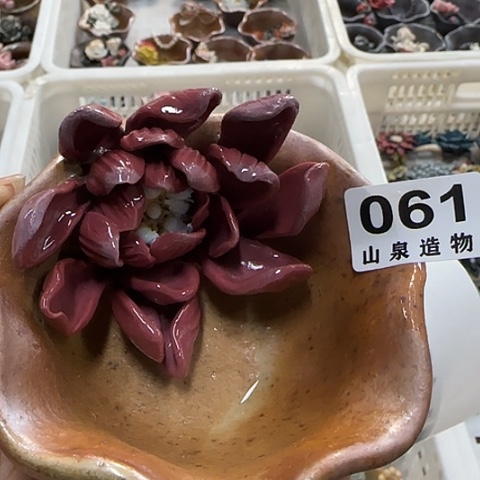 瓷片柴烧柴烧柴烧061