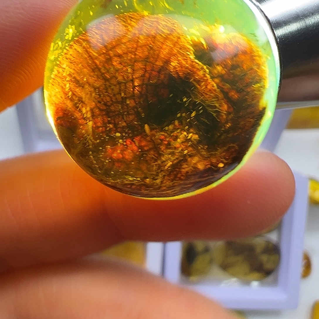琥珀未镶嵌裸石琥珀植物珀