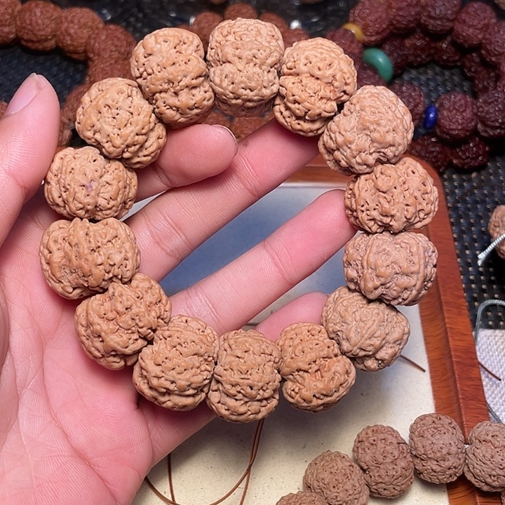 金刚菩提吊坠尼泊尔大金刚菩提