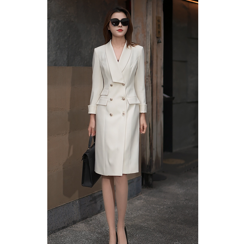 收腰通勤不规则连衣裙春秋季长袖职业女装轻奢Q8059