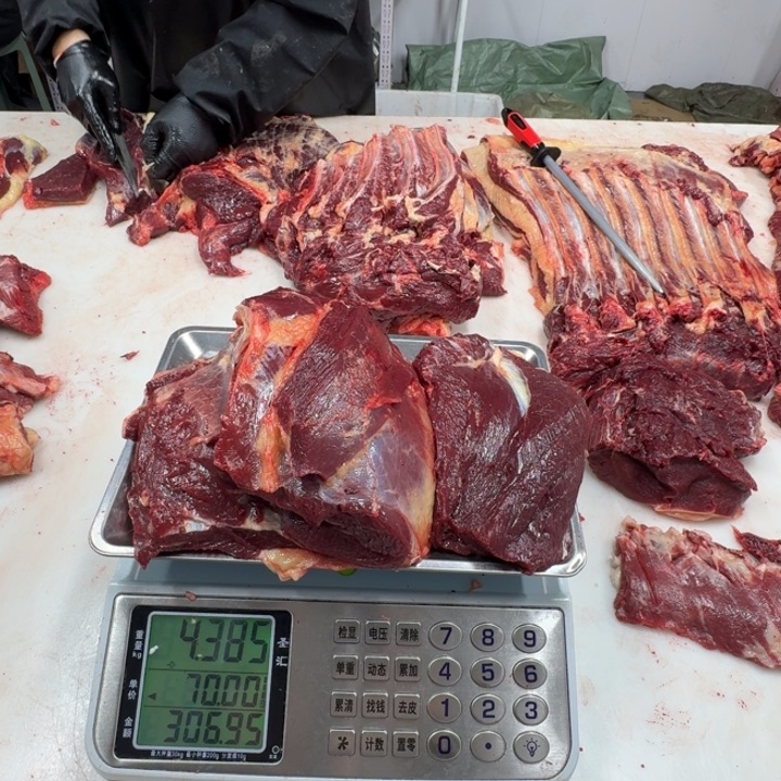 麟***巍12中国大陆马后腿
