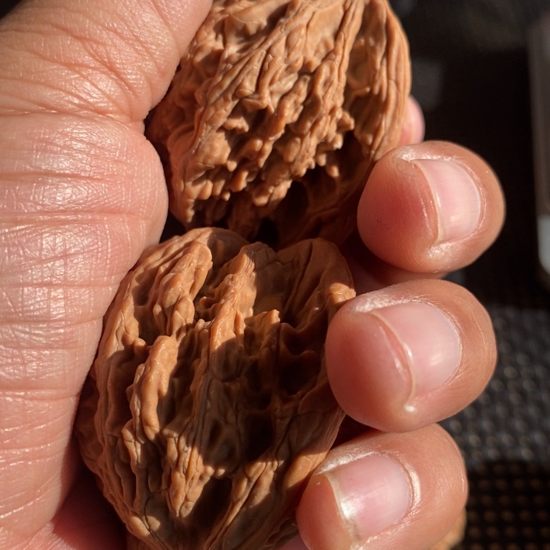 嘿***嘿大叶紫檀（黑酸枝木类）虎头