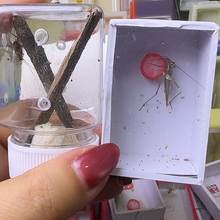 小***洲哈哈哈哈哈哈哈哈哈哈哈