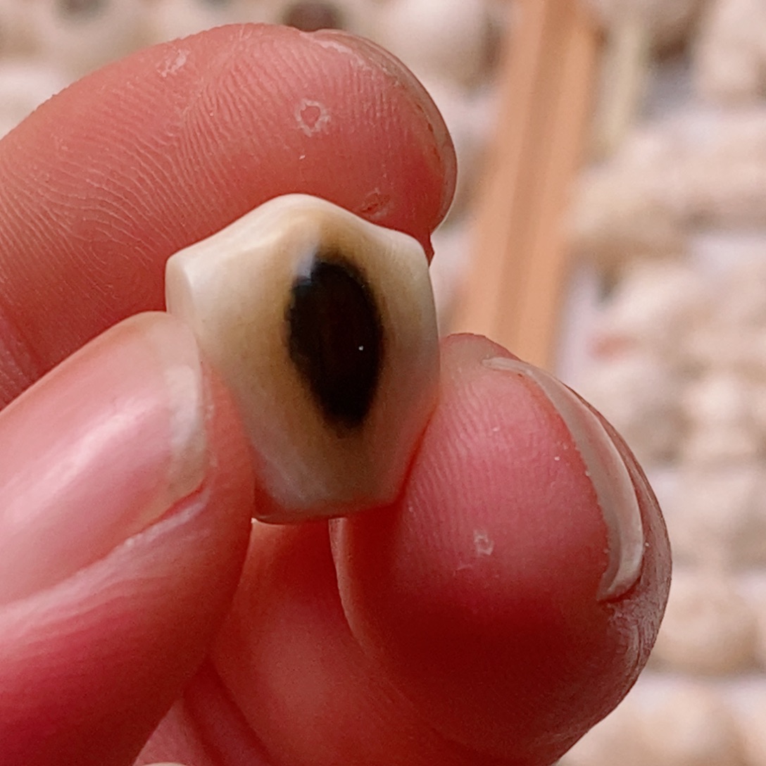 杨***万吊坠猛犸象牙11三通 