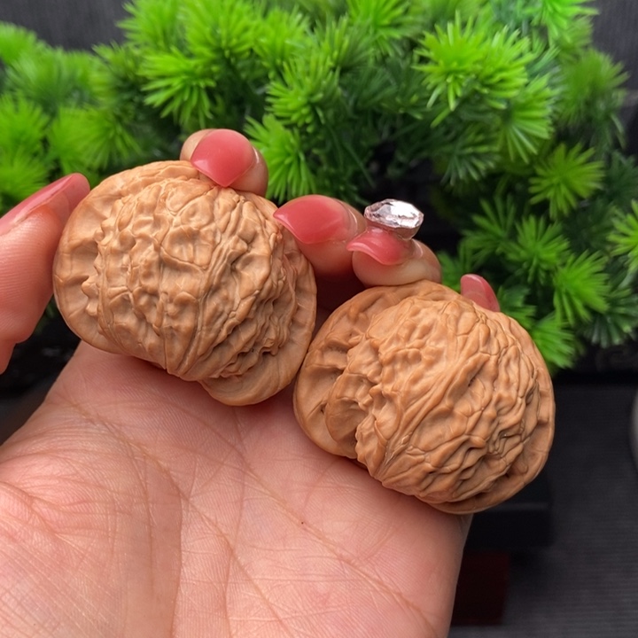 特价练手闷白狮子头42