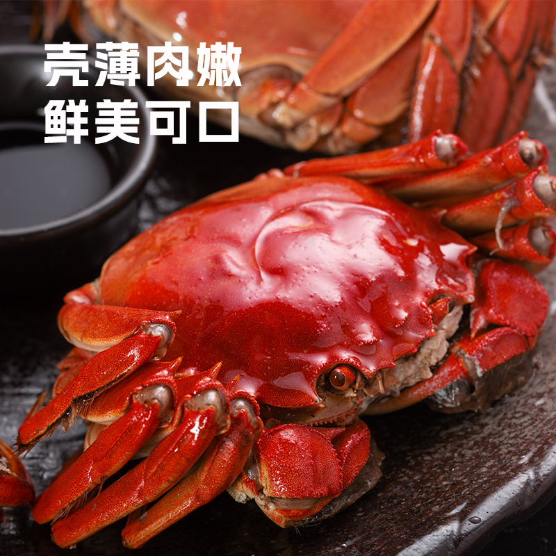 1【活蟹】江苏大闸蟹公蟹6.0-5.7两+母蟹5.0-4.7两 礼盒装活蟹现发 顺丰/京东发货 买3对送1对共8只