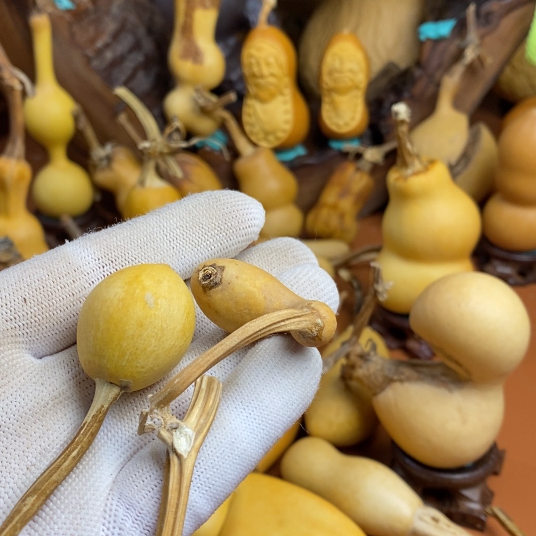 佛***人啦啦教练咯教练咯教练