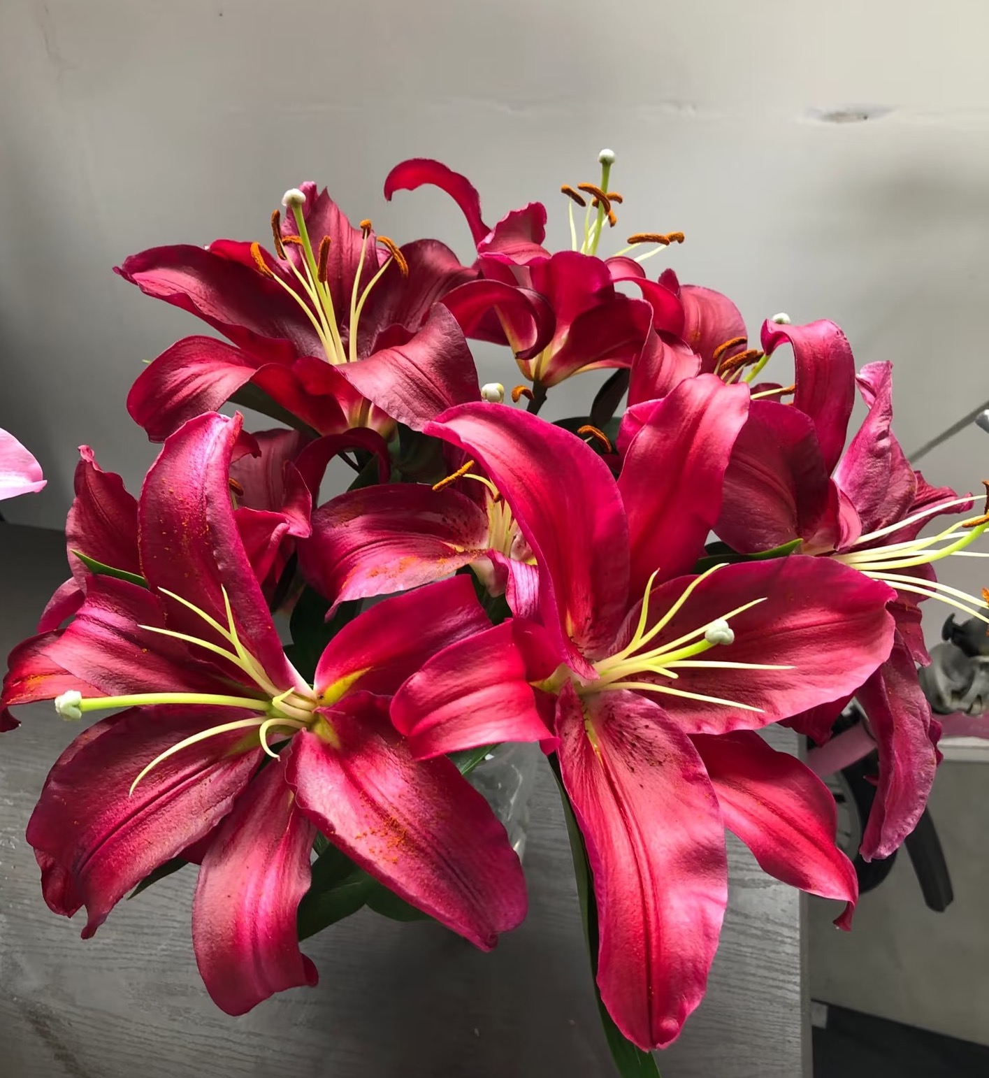 【一单包邮】布达佩斯香水百合【三单升级京东或顺丰】 云南基地直发