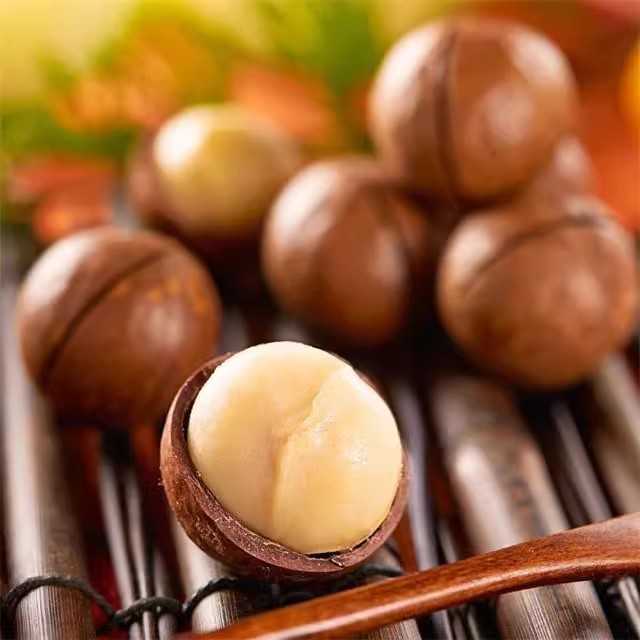 桂澳新货夏威夷果原味无添加夏威夷果坚果零食干果