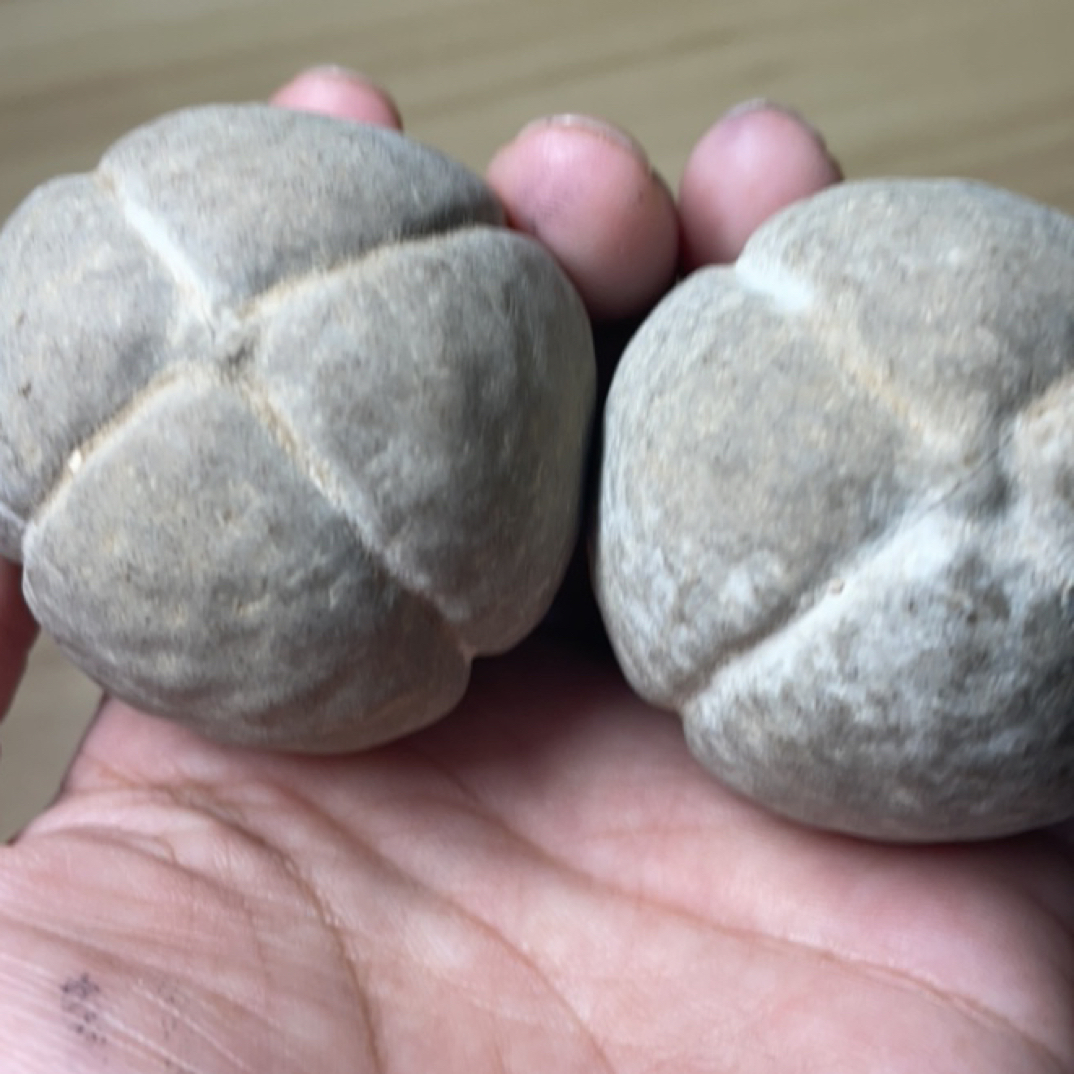 稀有四瓣无相金刚菩提手球