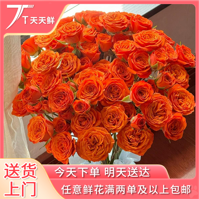 顺丰次日达【 10支 橙色芭比】鲜花次日达任意两单顺丰包邮送货上门