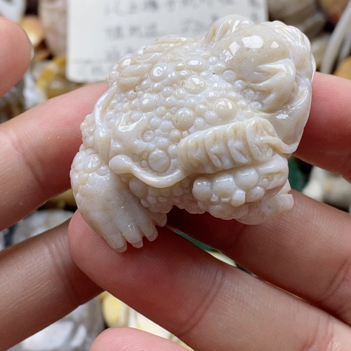 硅化珊瑚（珊瑚玉）颈饰未镶嵌