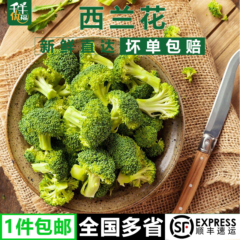千牛优福西兰花1-5斤 小朵西兰花朵 脆嫩青花菜绿花菜西蓝花椰菜