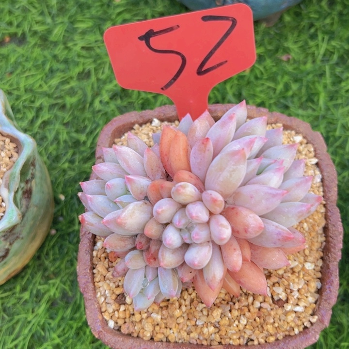 健健康康平平安安