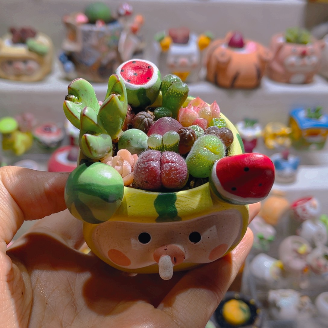 ?***?糯米专属折扣链接拍拍