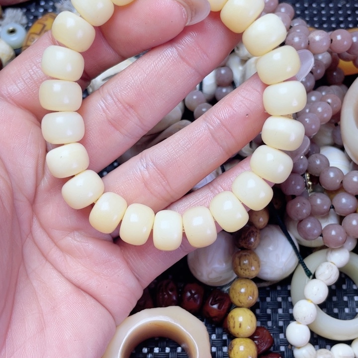 其他驼骨其他配饰