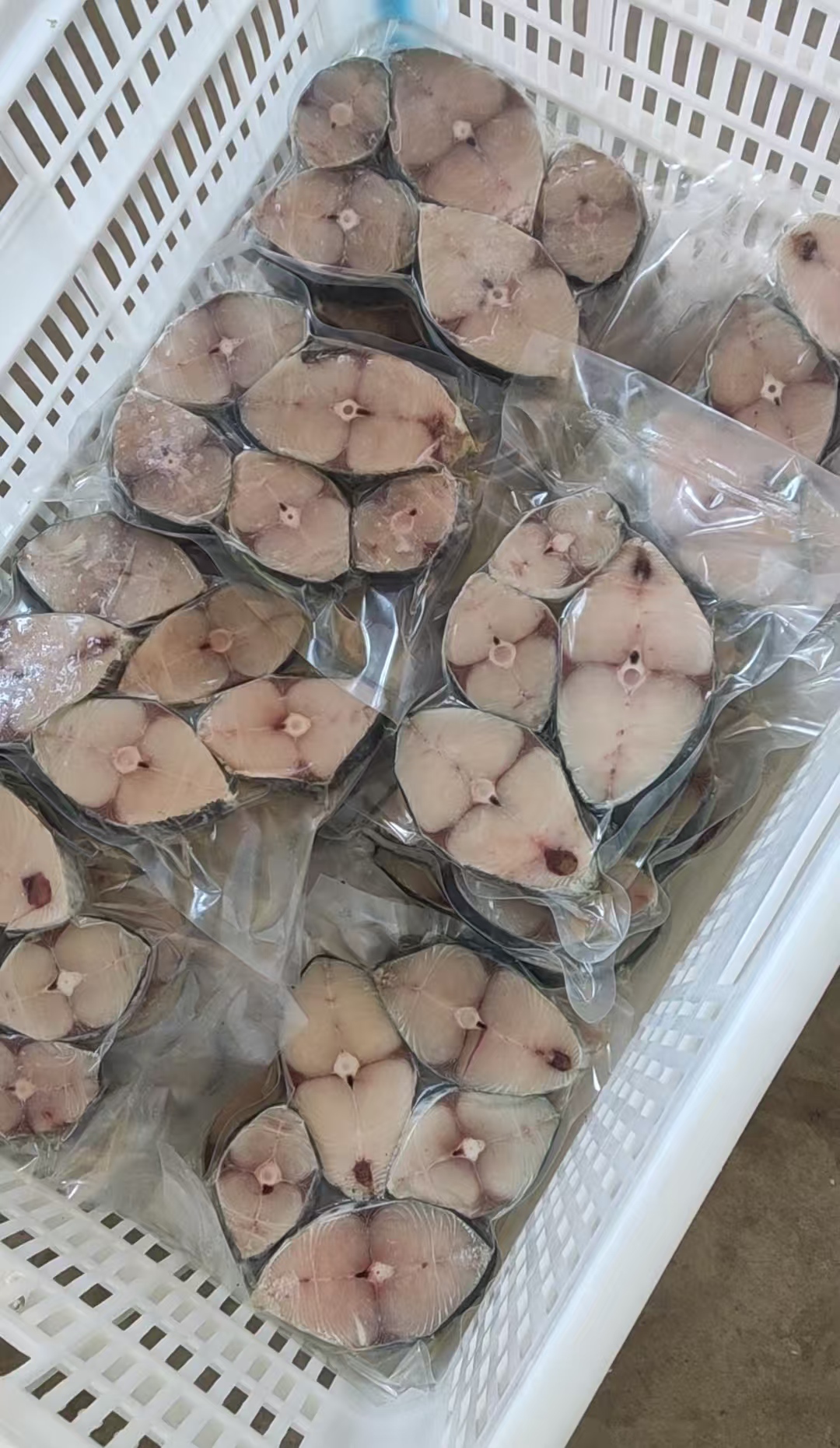 顺丰包邮冻切新鲜蓝点马鲛鱼段鱼中段鲅鱼块儿鱼片适合香煎酱焖