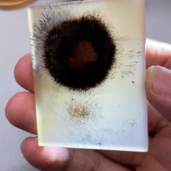 玛瑙/玉髓颈饰未镶嵌满****丽