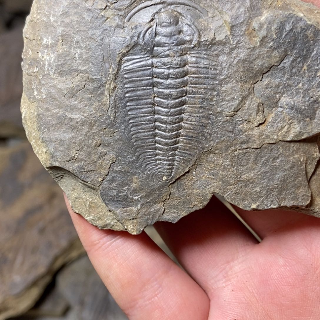 ****妖石材1111111111111111