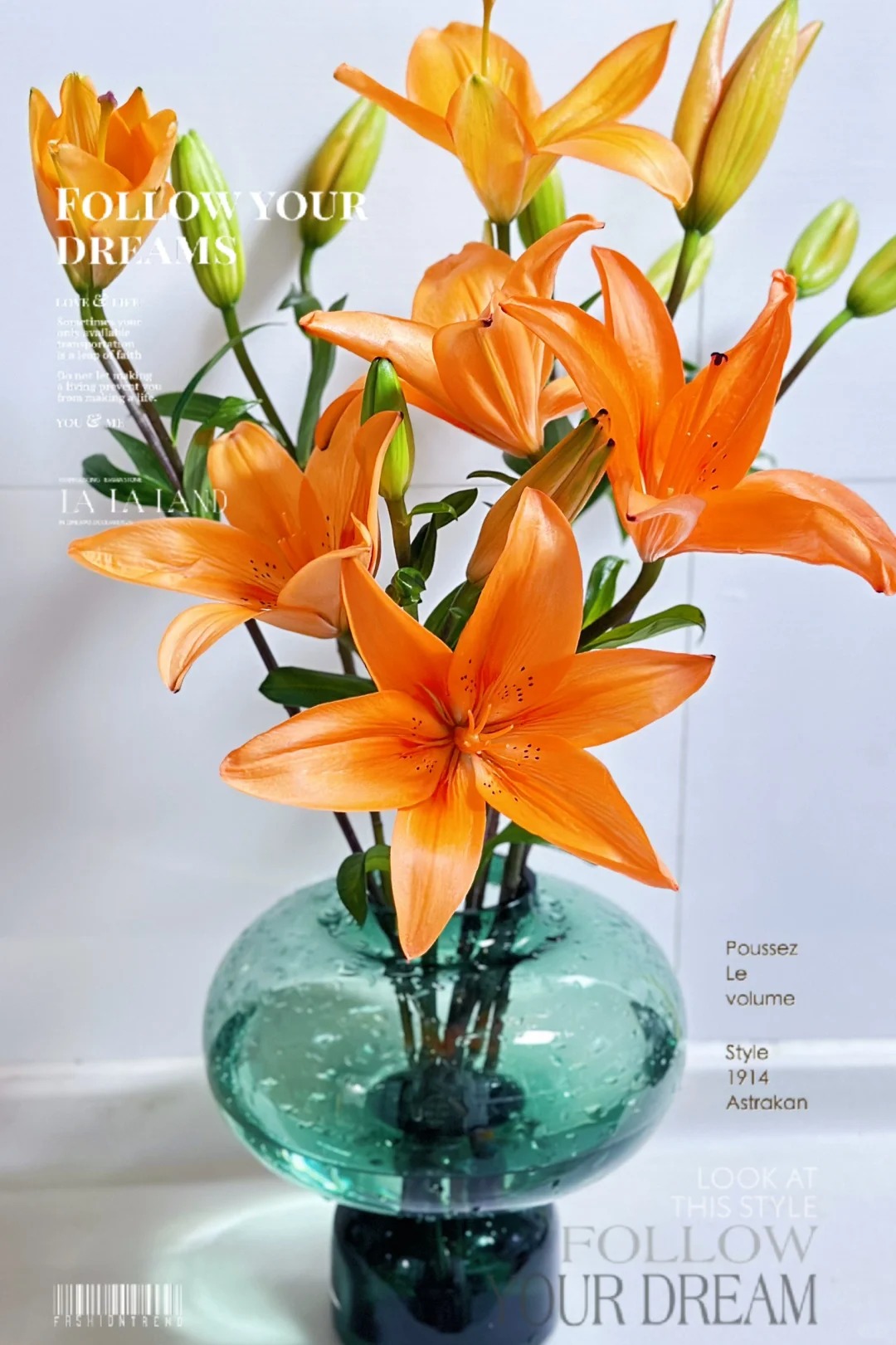 橙色梦想亚百合（同地址2单发顺丰）5度以下需拍保温棉冻坏不售后