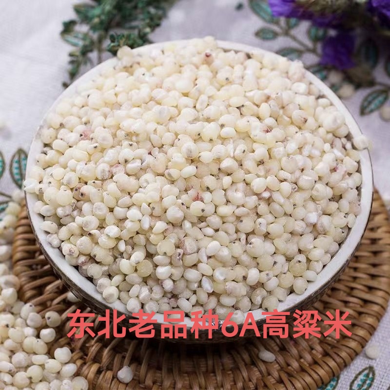 东北老品种6A高粱米白高粱米易熟粘稠粗粮五谷杂粮低脂