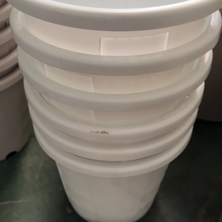 编号编号编号是2286