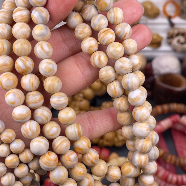 驼骨其他人工养殖0.8/108