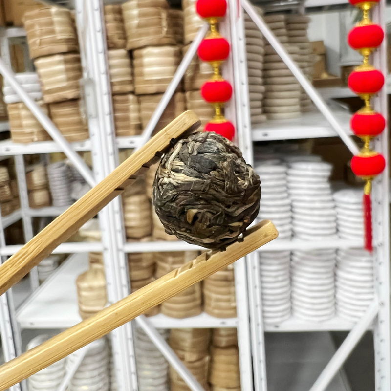 2025年老寨古树龙珠 春 普洱茶（生茶）裸珠