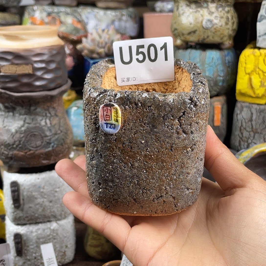 默认微次 元旦福利 坛子姐花盆