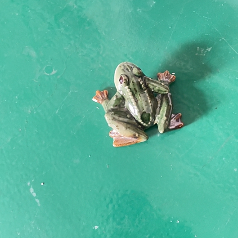 陶瓷微瑕特卖 满38包邮