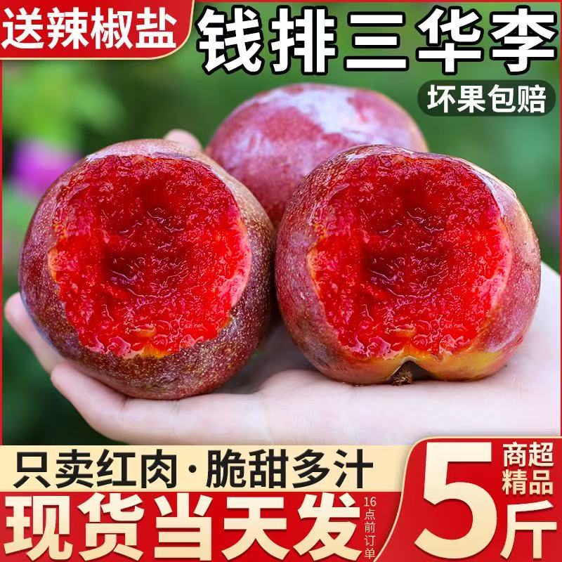 中大果，钱排三华李红心李子新鲜当季水果酸脆爽口，5斤装
