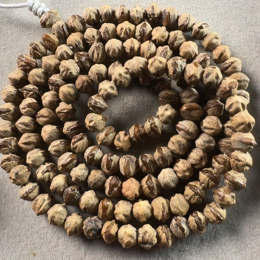 吊坠柏香籽/百香籽