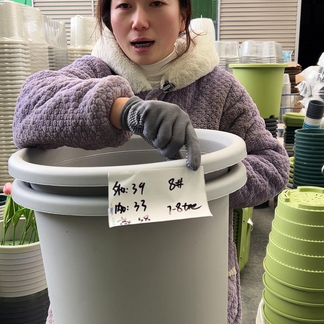 四季盆8#灰白5个无托