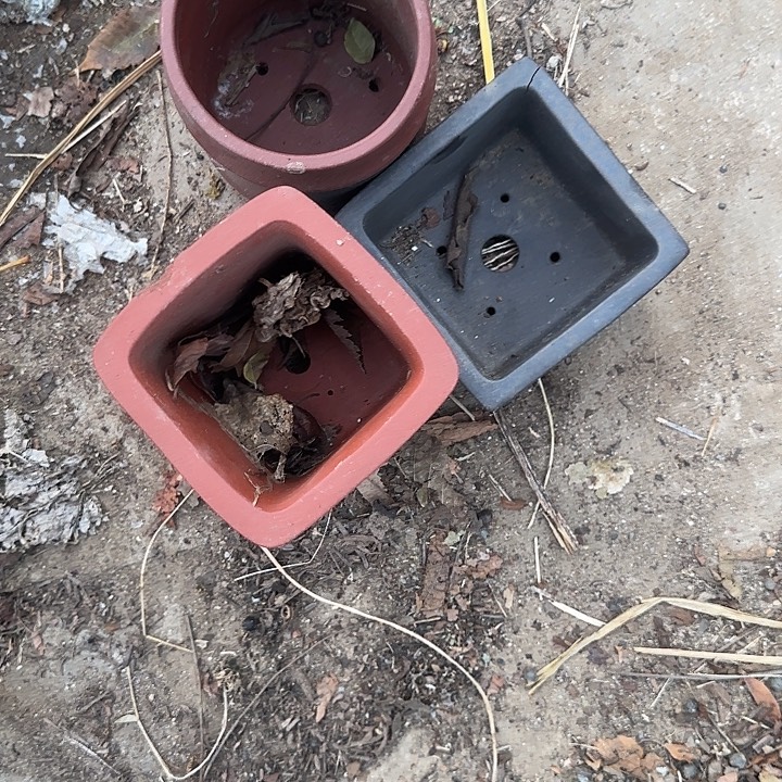 这几句真的好好啊哈哈好好听我要