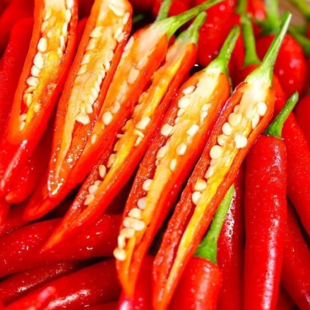 湖南湘西本地小米辣