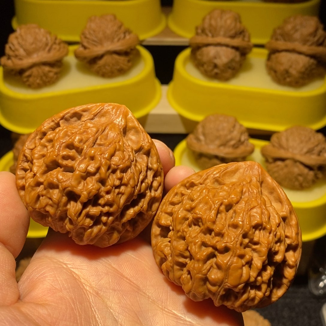 麒麟纹肉纹大官帽50尺精卡精配