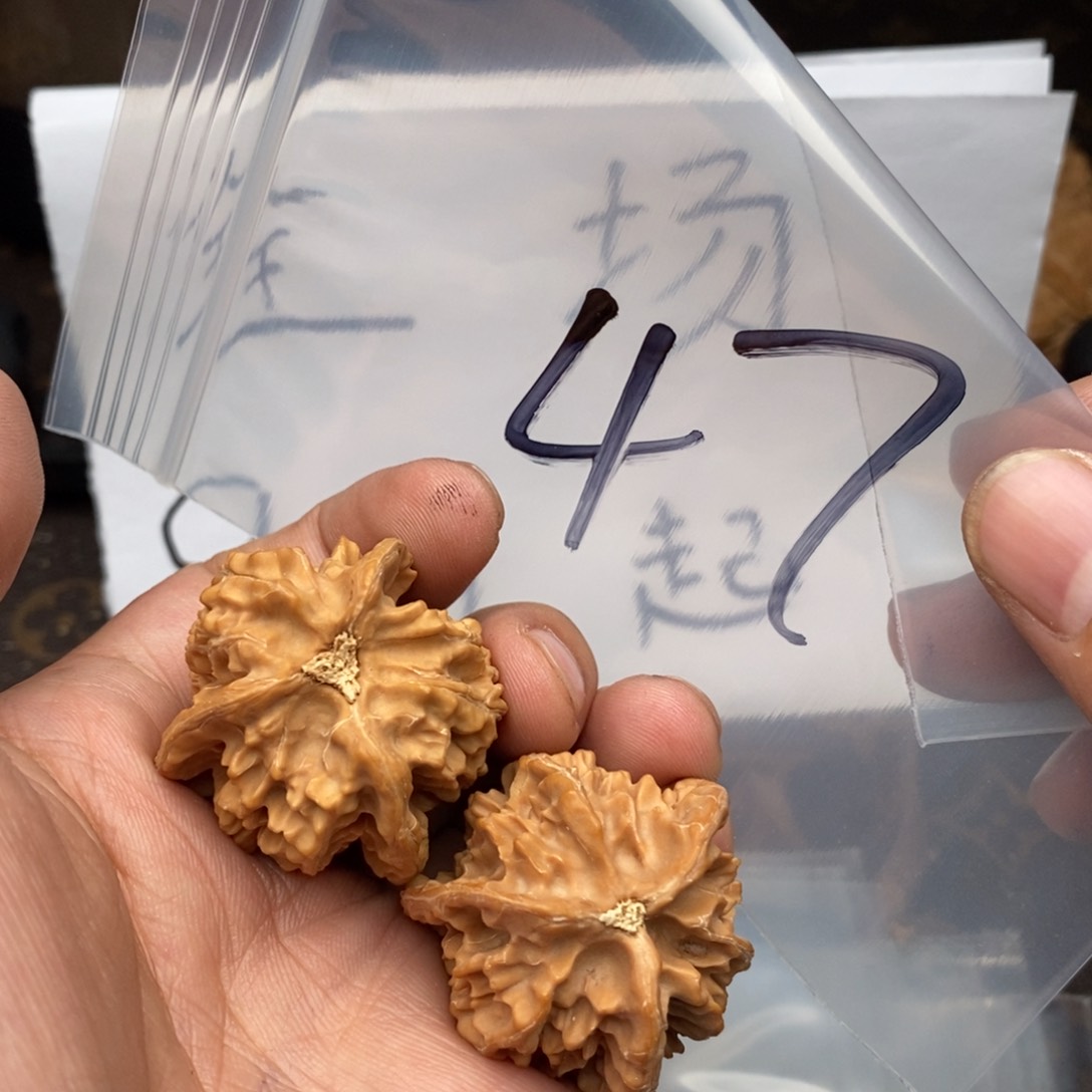 Wyoeoyryoyrryoyroyor