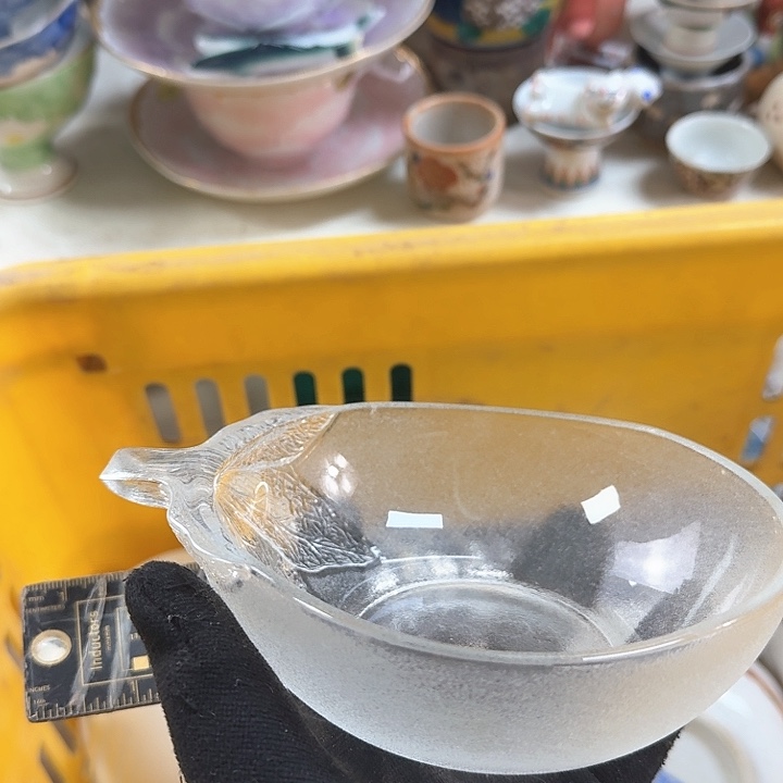 碗开播啦….开播啦