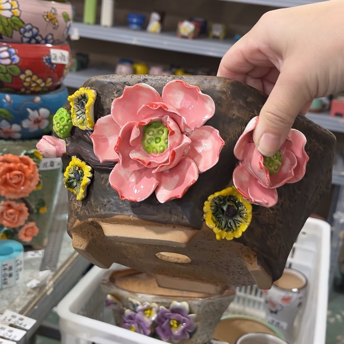 【闪购商品】红陶福利