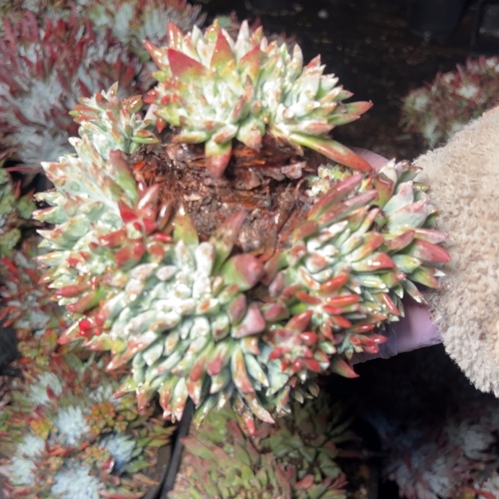 179哈哈哈哈哈哈哈哈