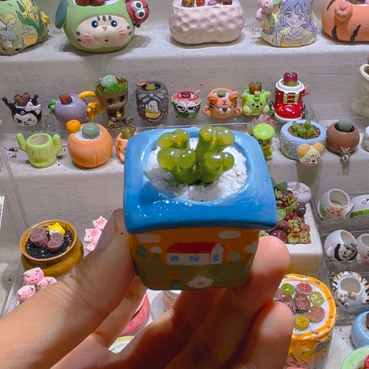 031四头风铃带盆土一套58