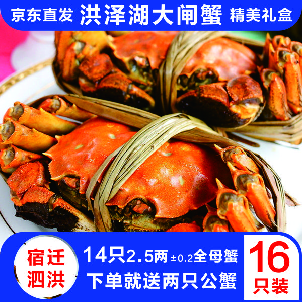 【活蟹】洪泽湖大闸蟹母蟹2.2-2.5两 14只 京东冷链直发 礼盒装