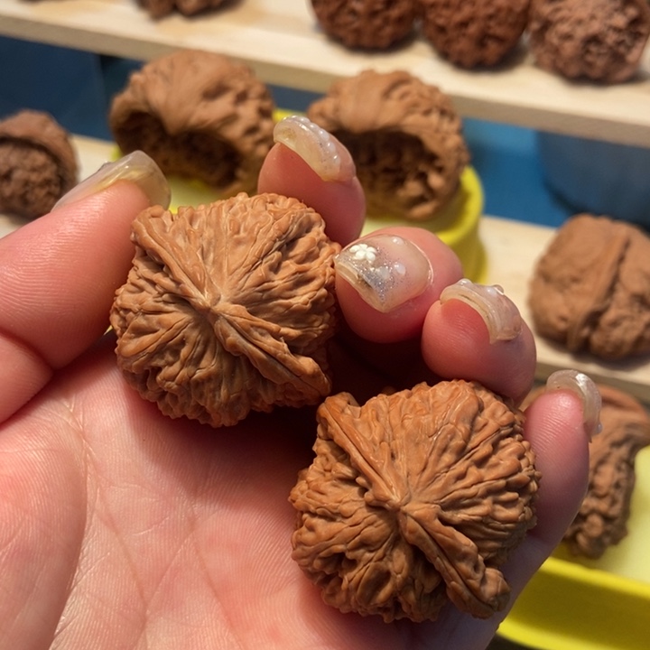 官方网站发布消息显示