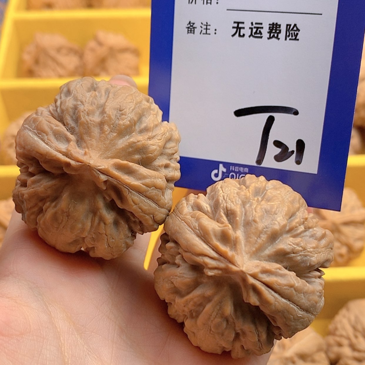 【闪购商品】文玩核桃把件肥****✕文玩核桃霸王龙21