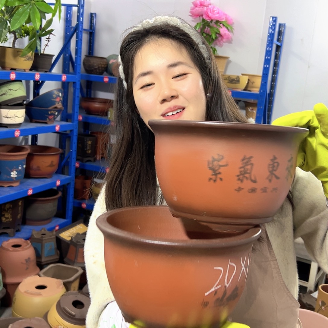 20+20紫气东来花盆花盆花盆