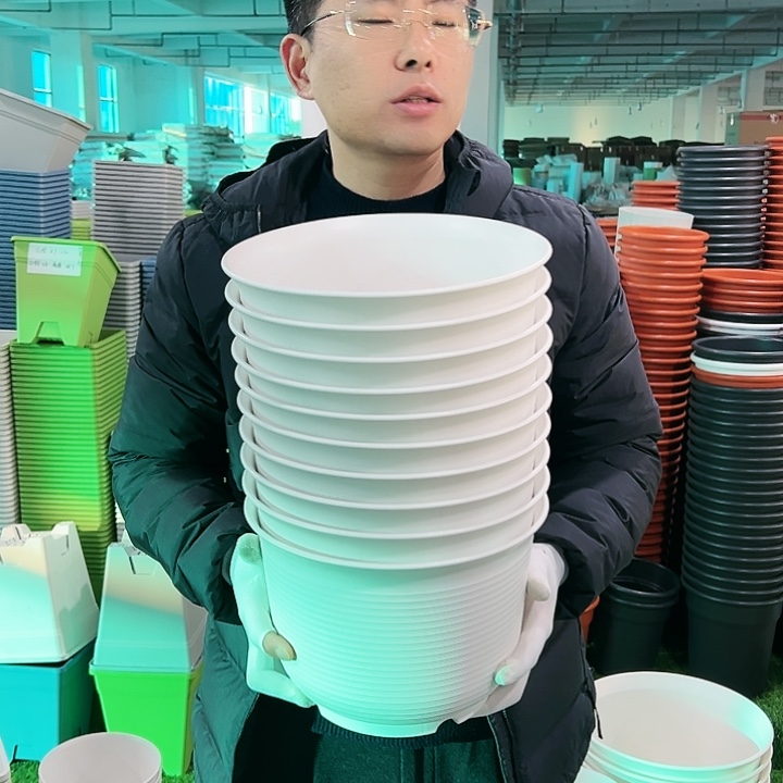 正品矮陶口27高18白色6只无托