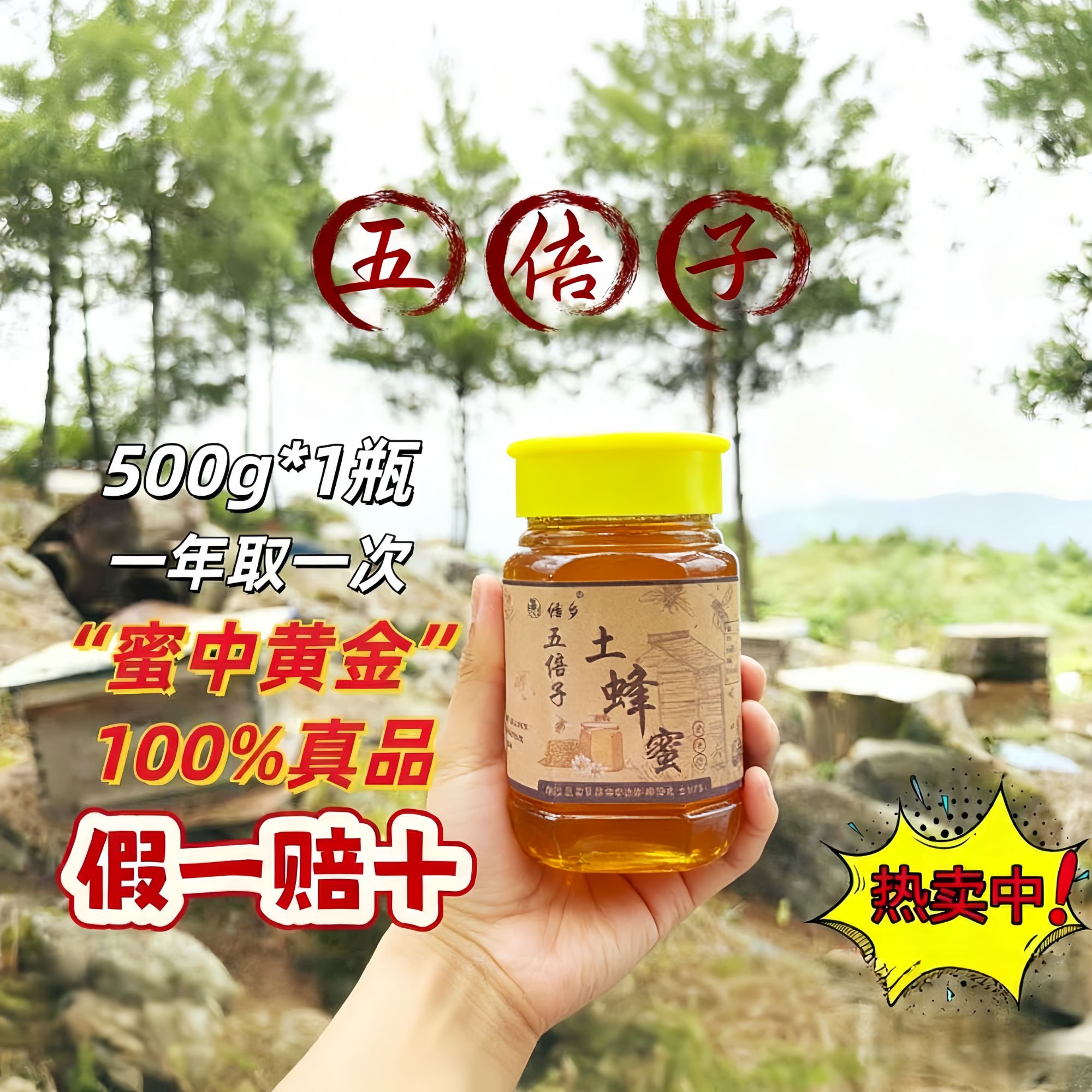 2斤装【五倍子土蜂蜜一瓶+百花蜜一瓶】